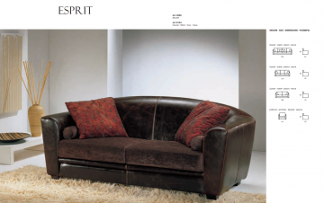 Model ESPRIT, Chique Leer Bank Luxeuze Interieur 