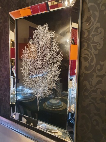 B0e698d5 4208 49ea 97f8 4899dc9588e4