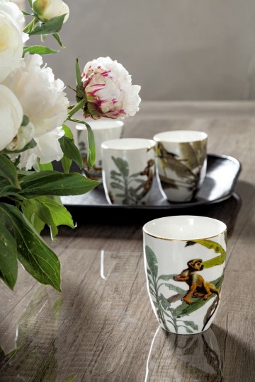 Sjmd7bwuih day medea details 3 2