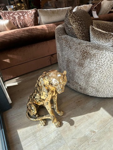 Whatsapp image 2024 04 14 at 160022 1