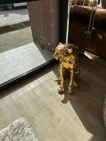 Whatsapp image 2024 04 14 at 160022 2