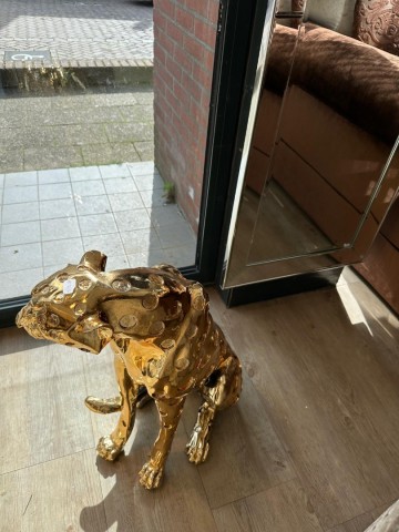 Whatsapp image 2024 04 14 at 160022